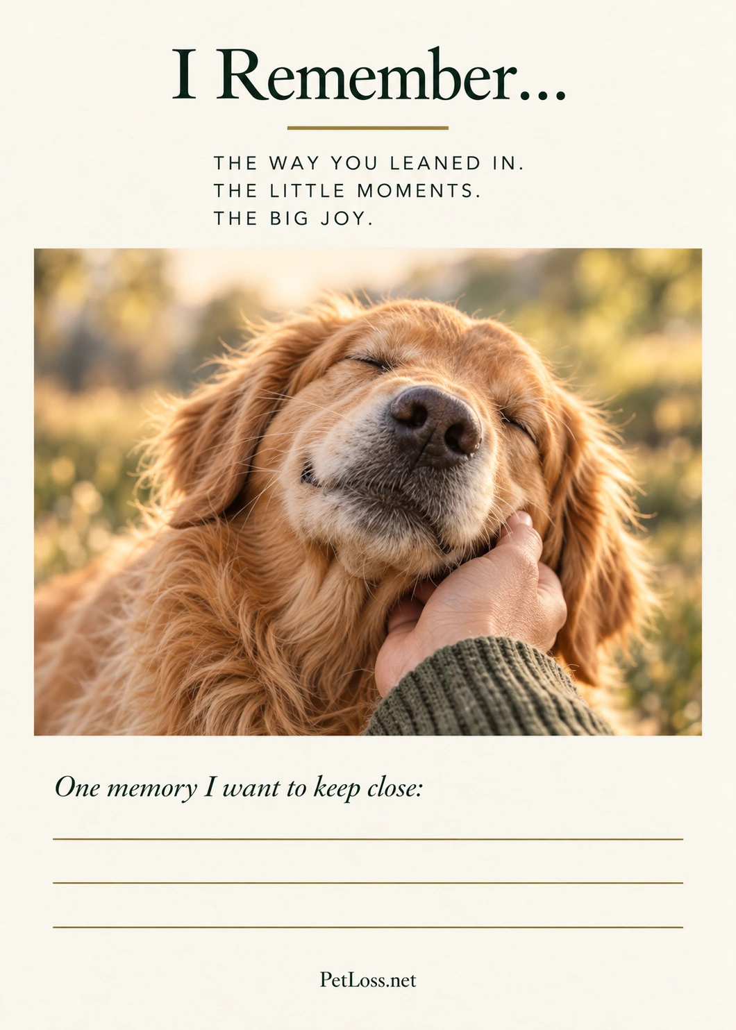 Golden Retriever on the I Remember 5 by 7 reflection card