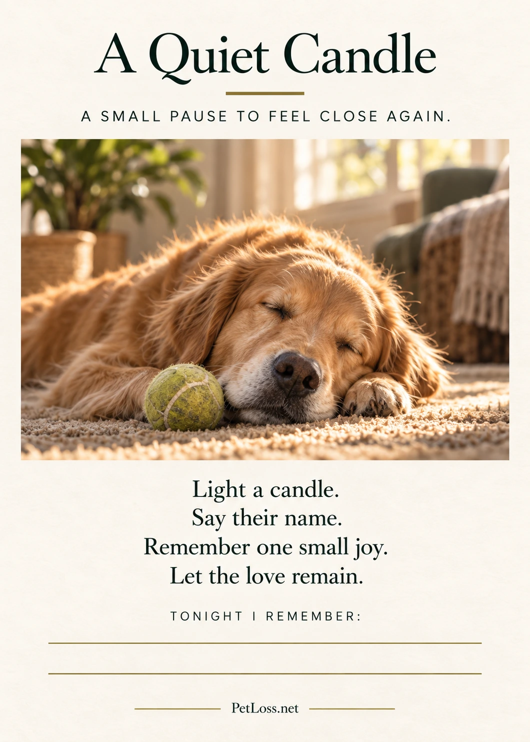 Sleeping Golden Retriever on the A Quiet Candle ritual card