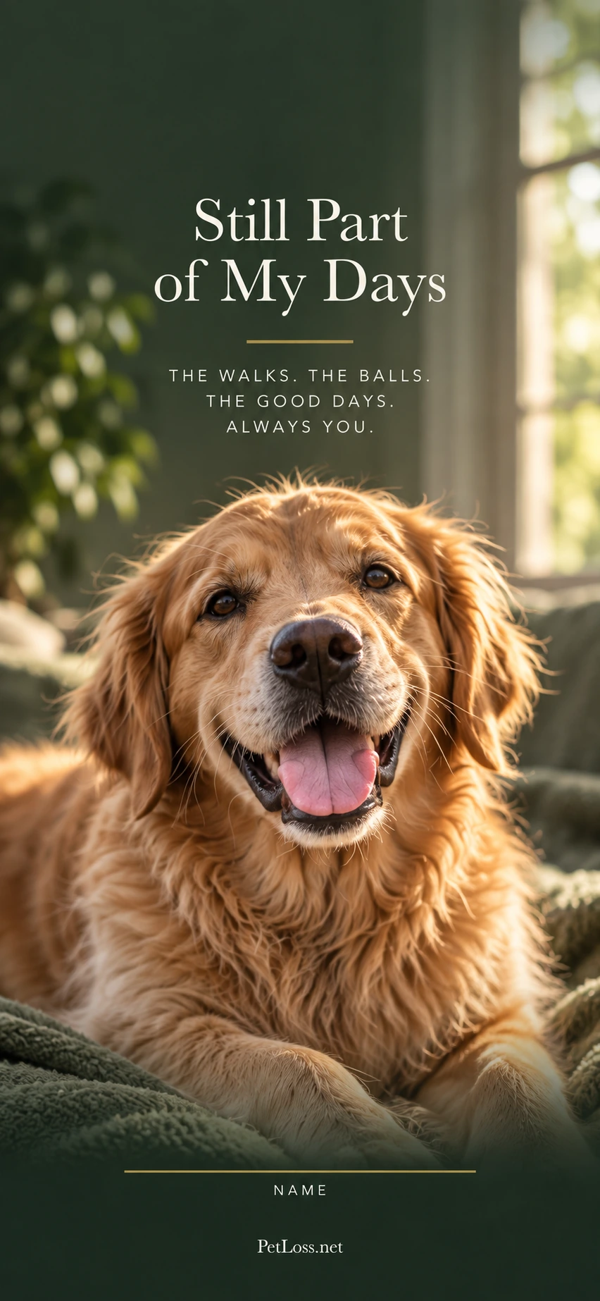 Golden Retriever remembrance phone wallpaper with room for a companion name